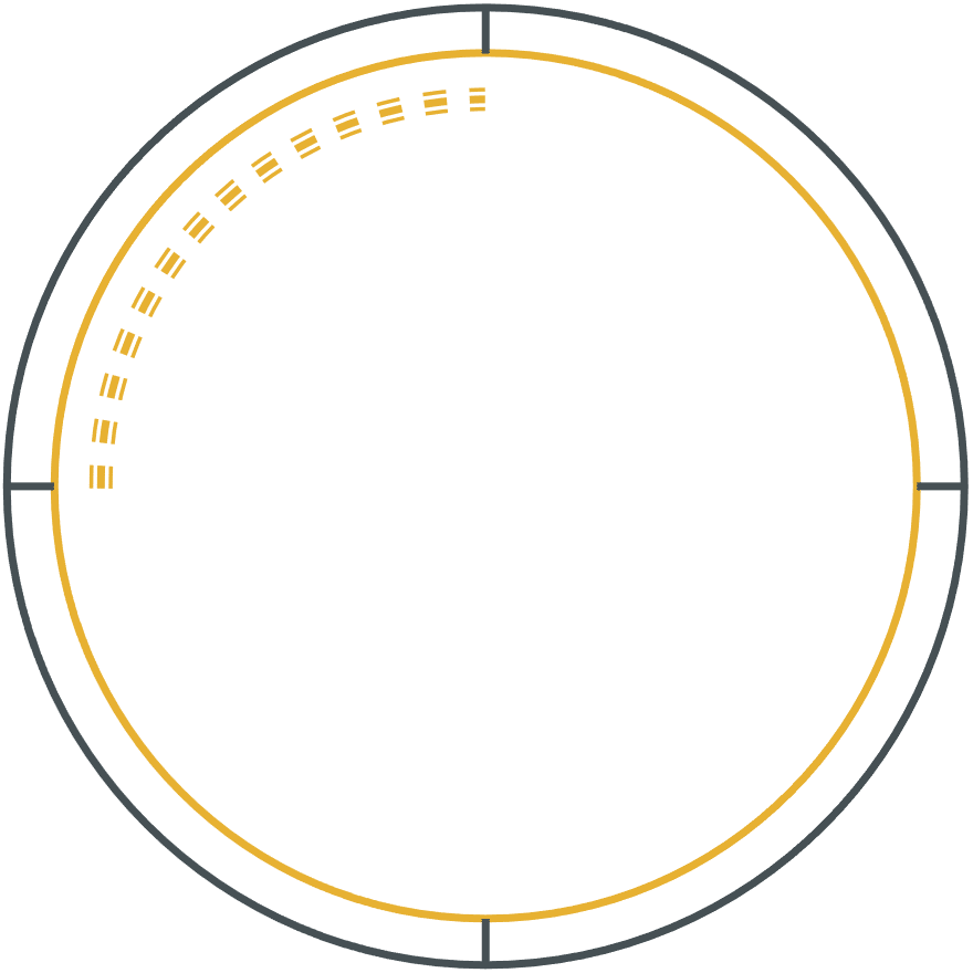 Campaign Cycle Compression from Three Months to One Day